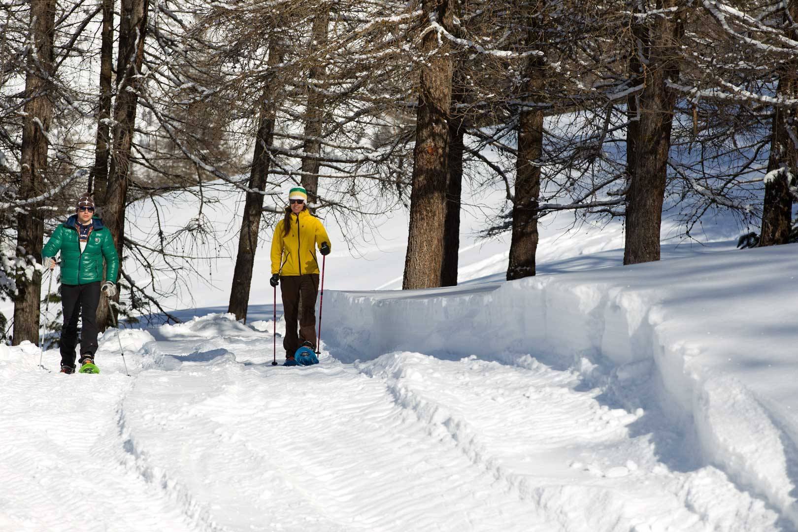 Escursionisti con le ciaspole nel bosco innevato