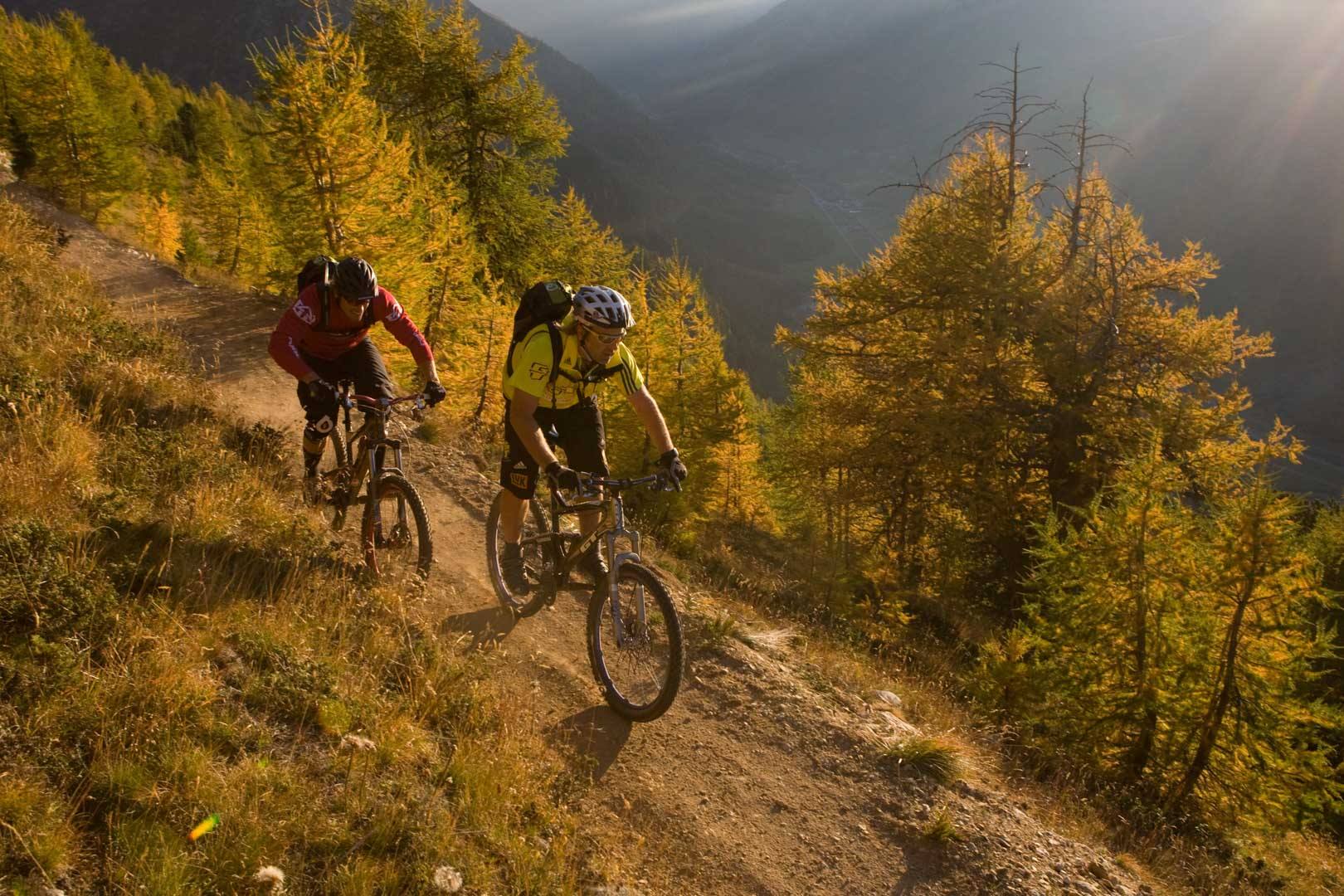 Mountain bike tra i larici d’autunno sopra Livigno